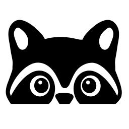 Cincinnati Critter Ridder Raccoon Mascot
