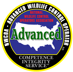 Advanced Wildlife Control Operator