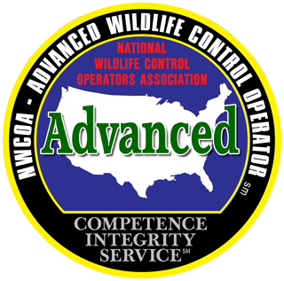 Advanced Wildlife Control Operator