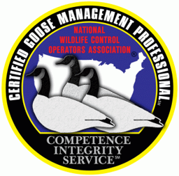 Certified Goose Management Professional
