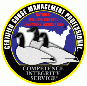 Certified Goose Management Professional